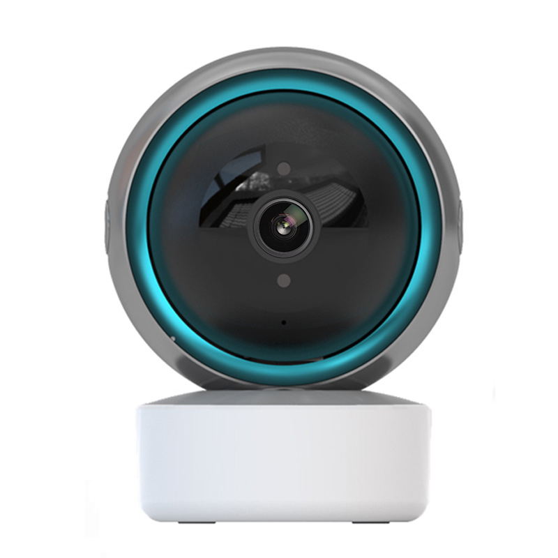 Indoor Security Cameras